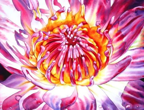 WATER LILY  91 X 61CM