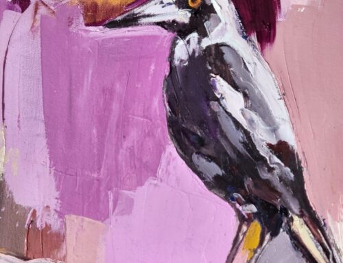 MAGPIE ON PINK #2  30 X 30CM