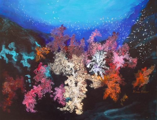 SOFT CORALS ON THE REEF  60 X 71CM