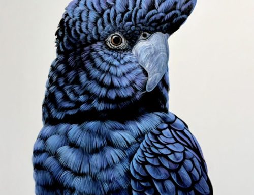 JASPER  152 X 122CM