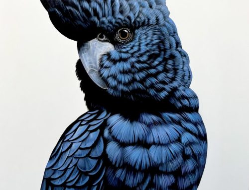 MALACHI  152 X 122CM