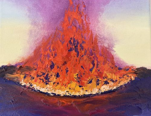 FIRE STUDY #55  23 X 23CM