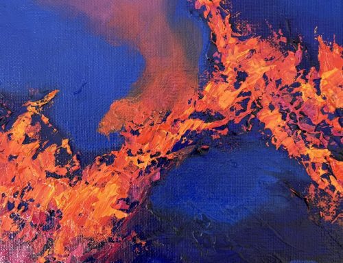 FIRE STUDY #58  23 X 23CM