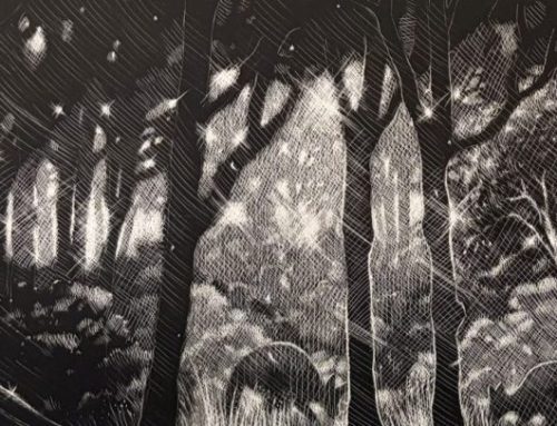 Finding Light in Lovedale  29 x 75cm