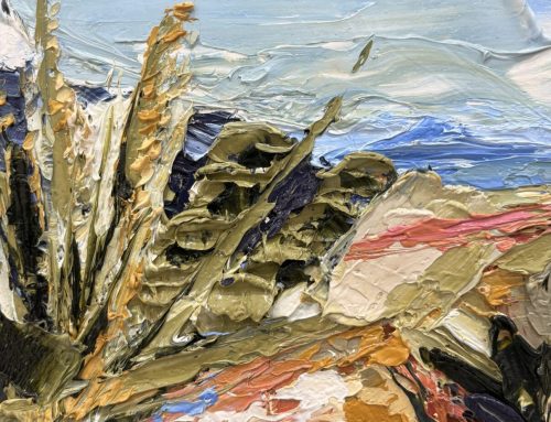 ESCARPMENT VIEW WITH SPEAR GRASS AND MAT RUSH  20 X 20CM