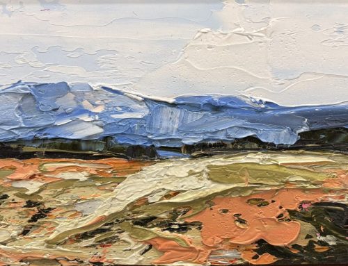 VIEW FROM THISTLE HILL, BARRINGTONS 1  20 X 40CM